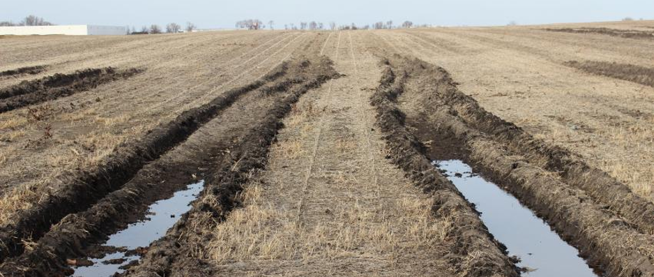 Wet field access.png