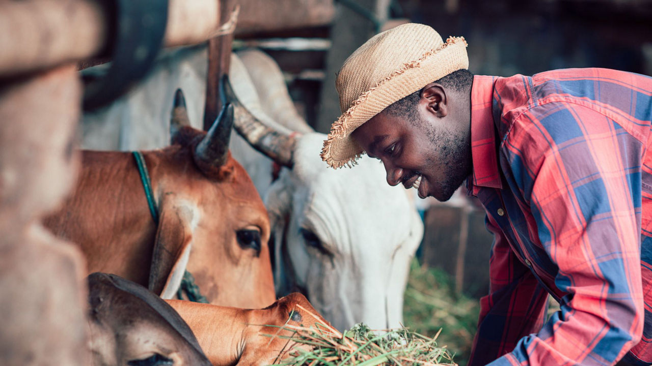 african-farmer-apa-sales-1920x1080.jpg