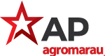 AP Logo