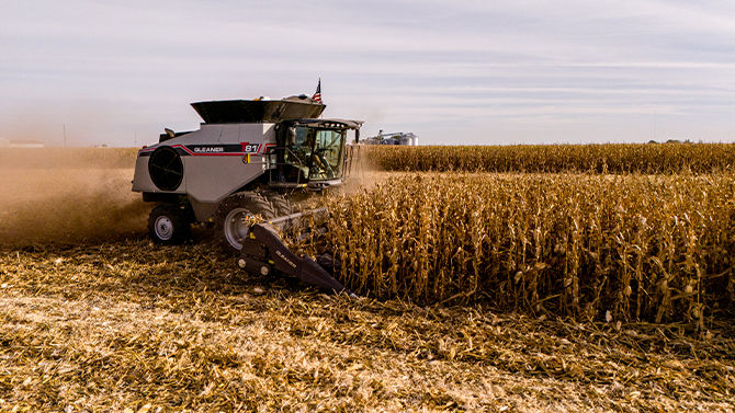 gleaner-t-series-corn-harvest.jpg