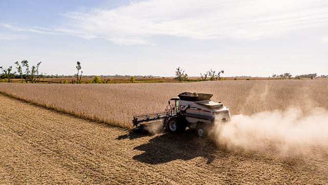 gleaner-t-series-soybeans-rear.jpg
