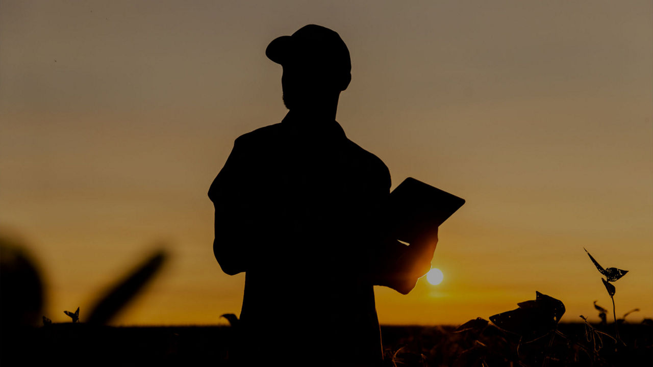 Silhouette of farmer in field