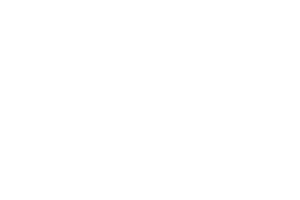 Fendt logo white