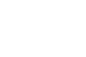 Valtra logo white