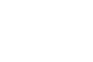 Precision Planting logo white