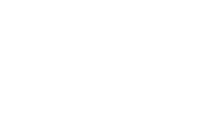 Sunflower logo white