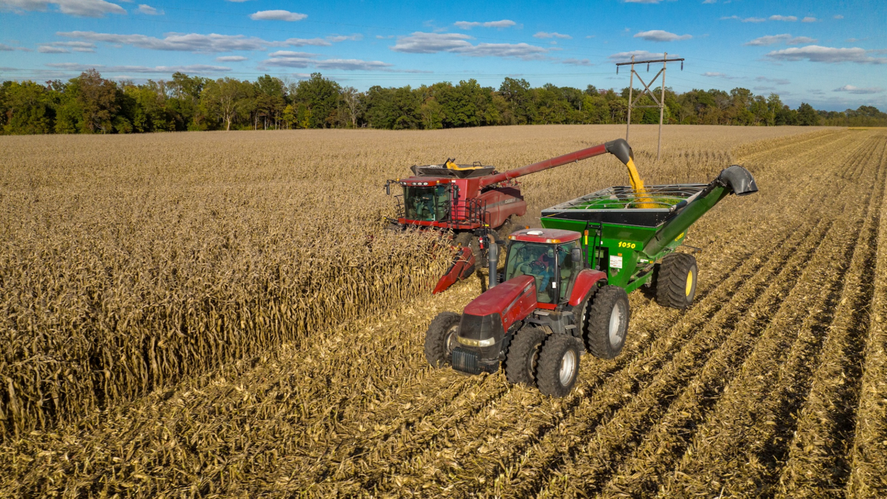 16:9 Images - prp-headsight-corn