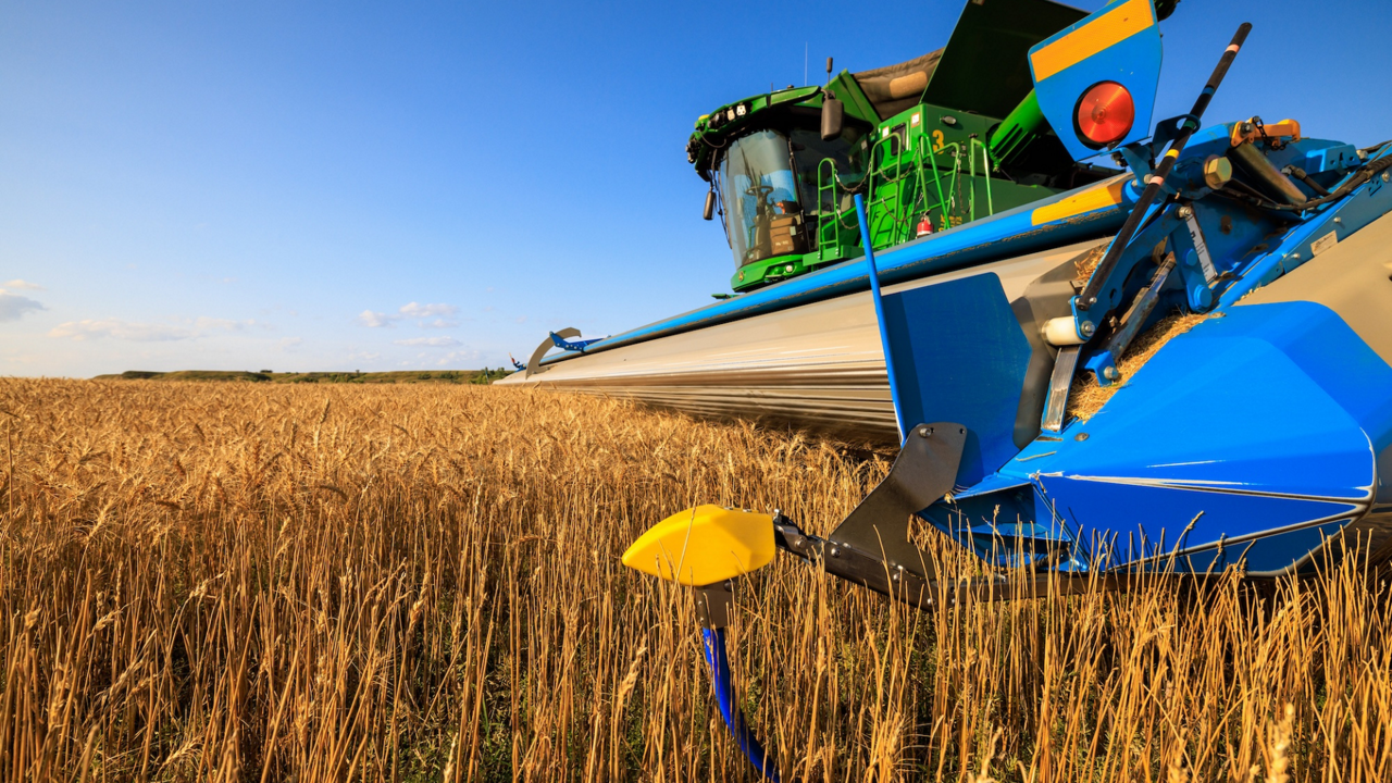 16:9 Images - prp-headsight-grain