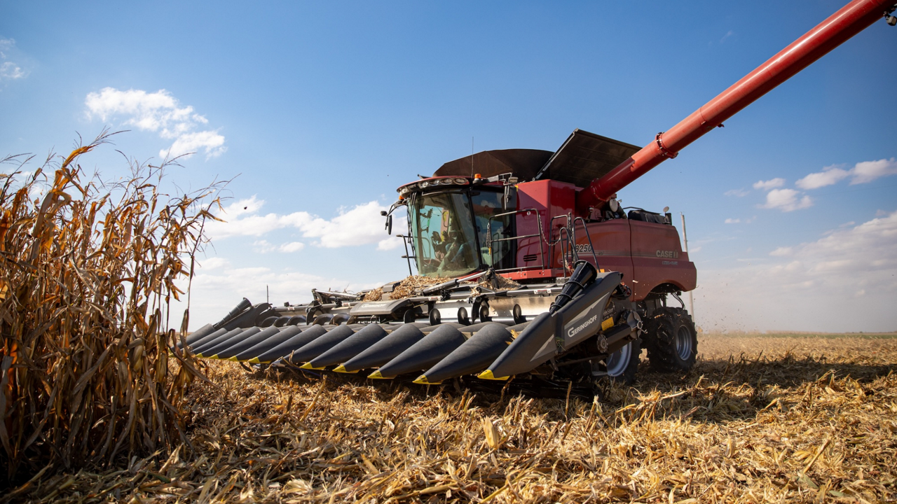 16:9 Images - prp-truesight