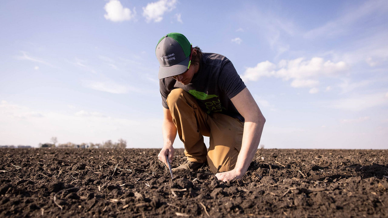 PTx intern checking crop seed depth in field