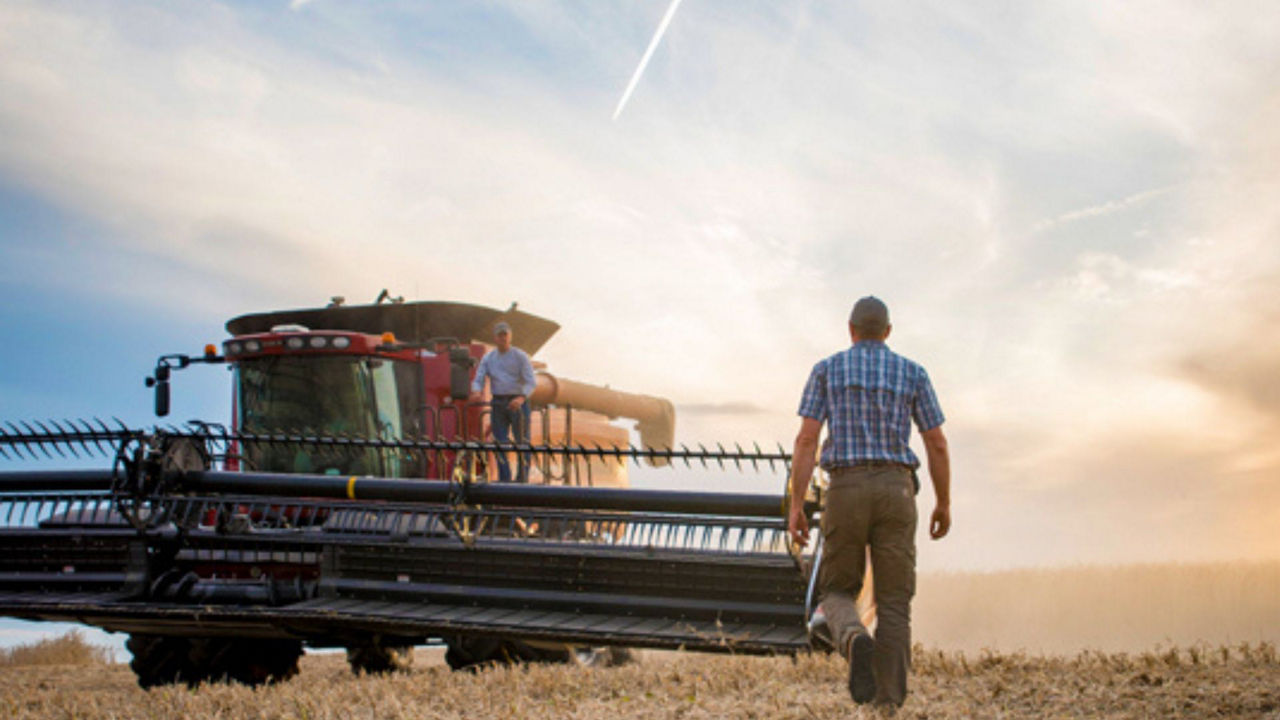 16:9 Images - ptxt-agriculture-partner-bean-harvest