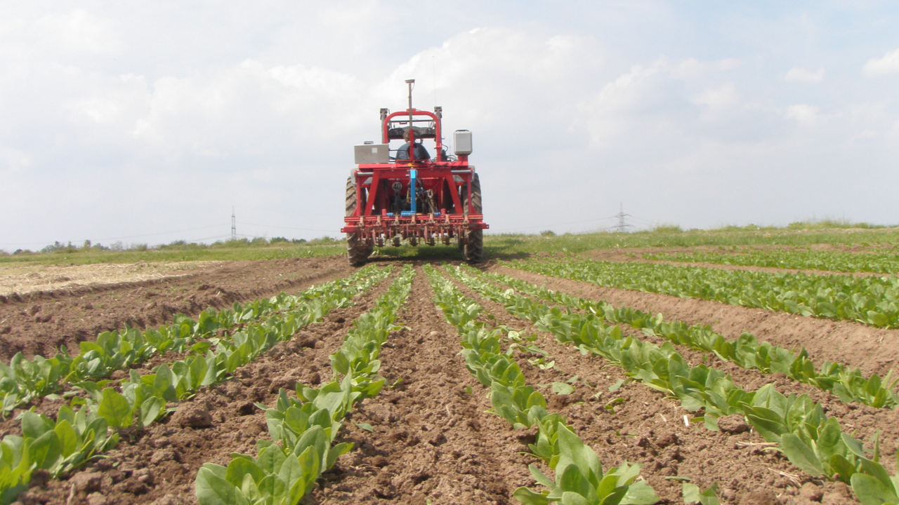 16:9 Images - ptxt-autopilot-spinach