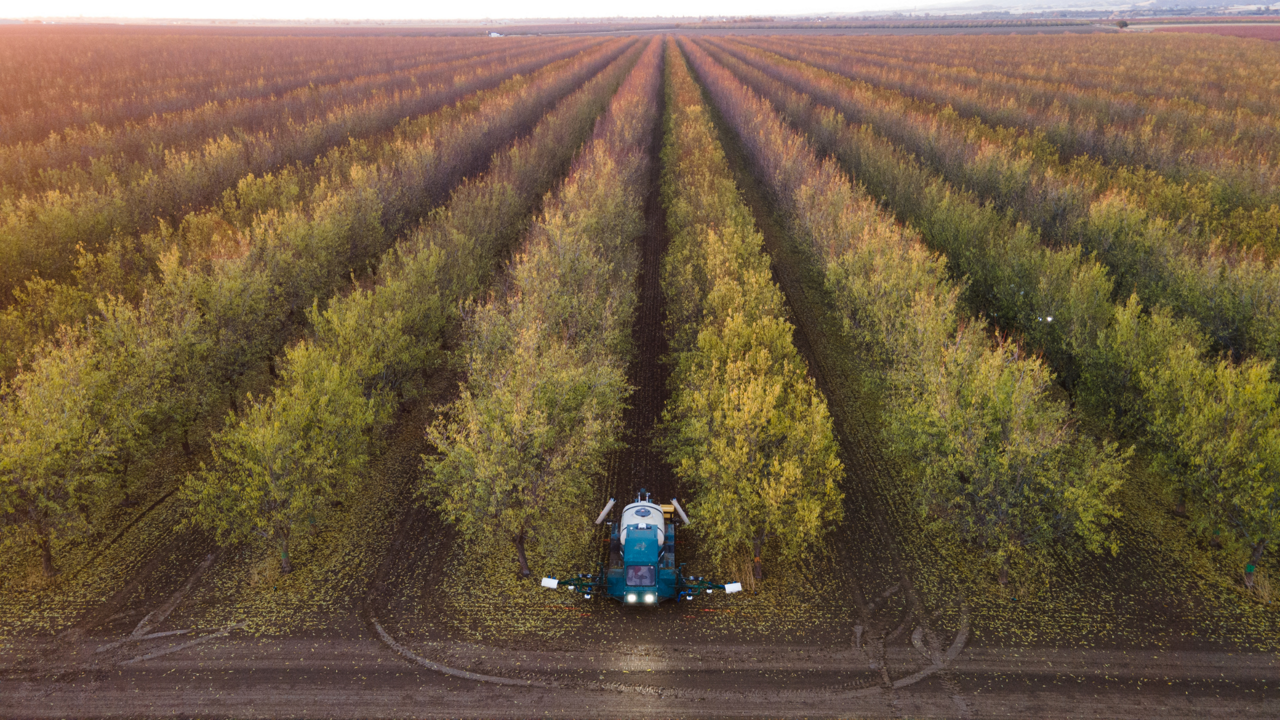 A sprayer in an orchard.
