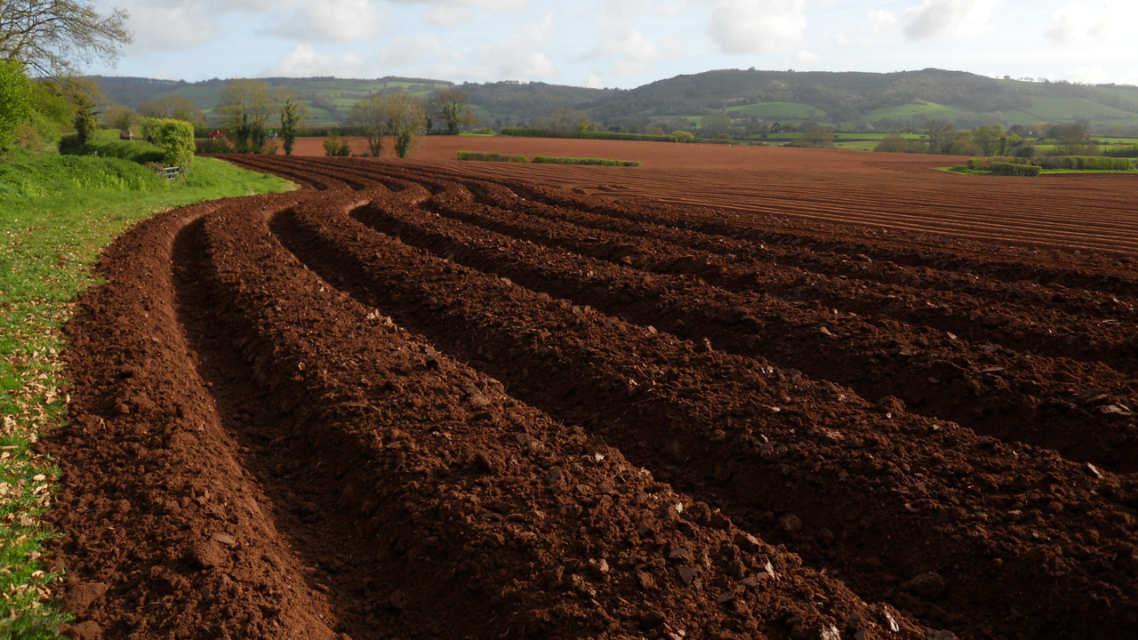 Field bedforming created by PTx Trimble FreeForm technology