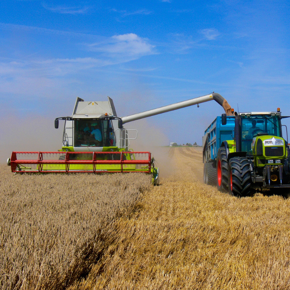 A combine and grain cart harvest a field.