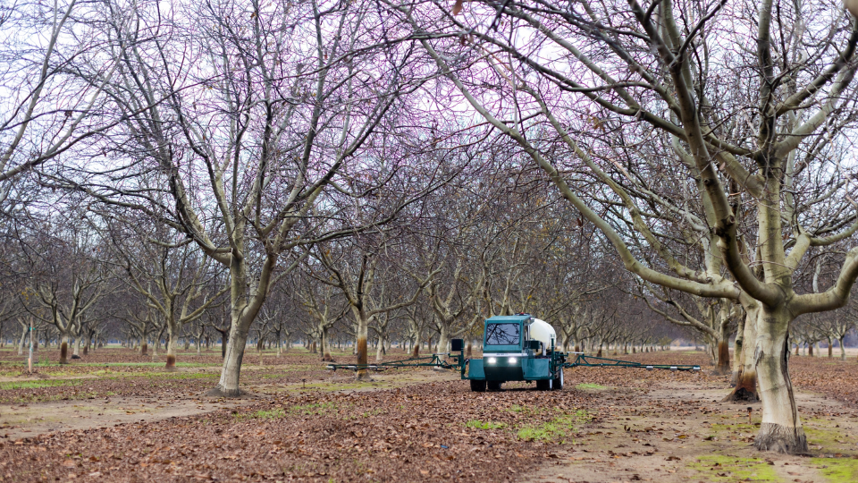 16:9 Images - ptxt-orchard-ws2-row-level