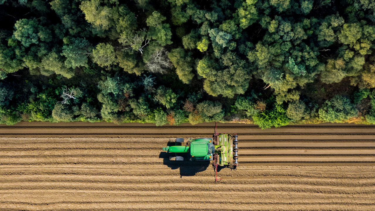 A tractor drives in straight lines along a treeline.