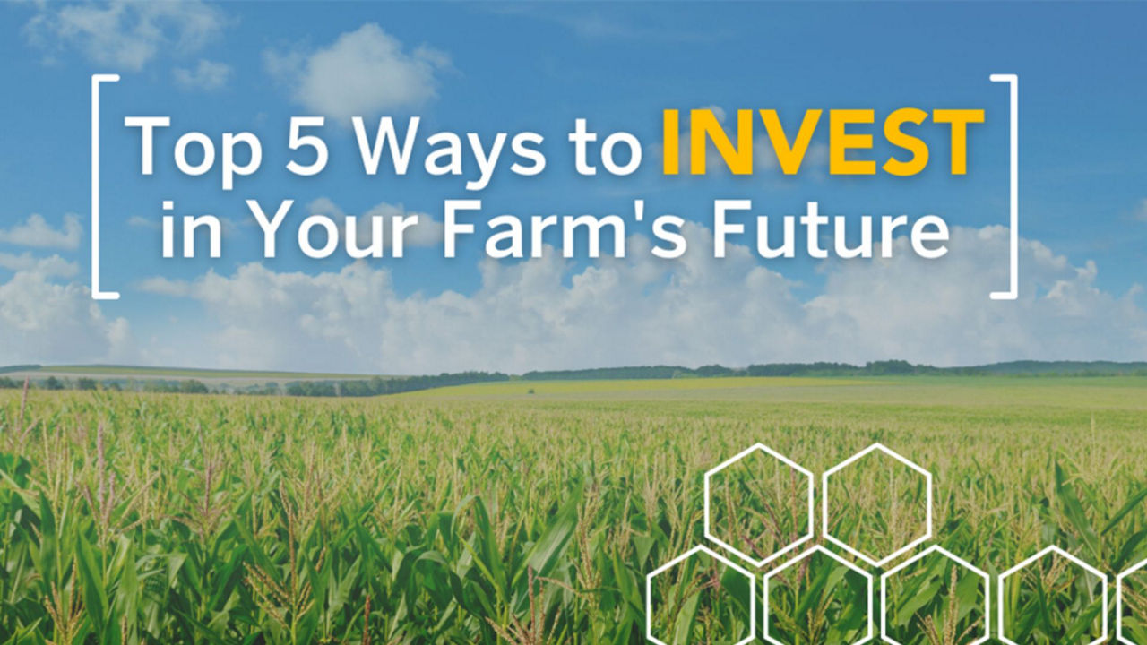 Top 5 Ways to Invest in Your Farm's Future