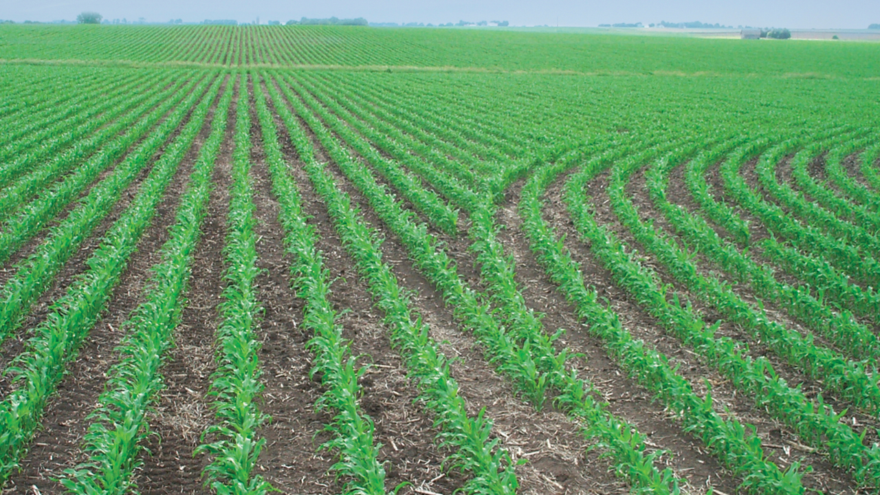 A field that was planted with the Field-IQ system, including TruCount components