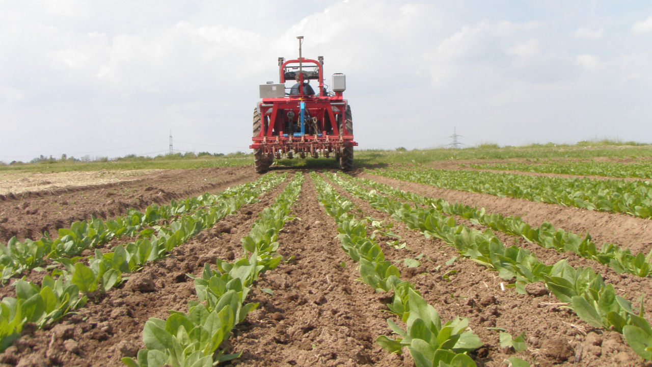 An implement using PTx Trimble TrueTracker technology in spinach