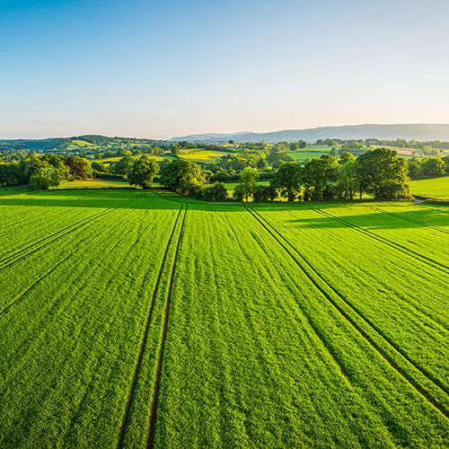 Green Field in open countryside