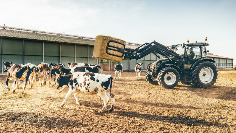 valtra-a-series-tractor-5th-gen-hitech4-front-loader-cows-800-450.jpg