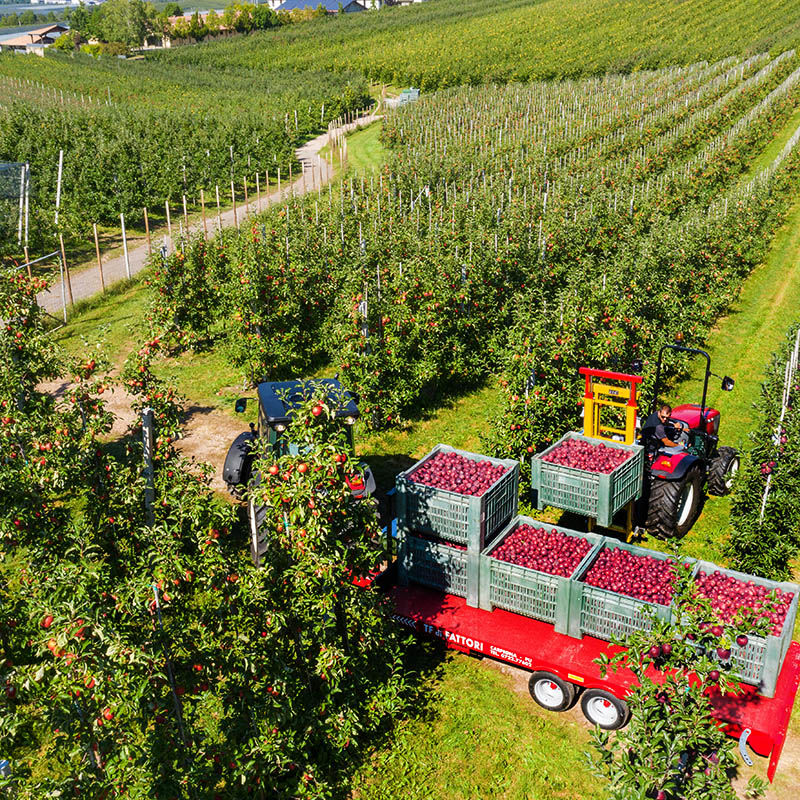 valtra-f-series-italy-apple-farm-img-2019-highres-jpg-0294.jpg