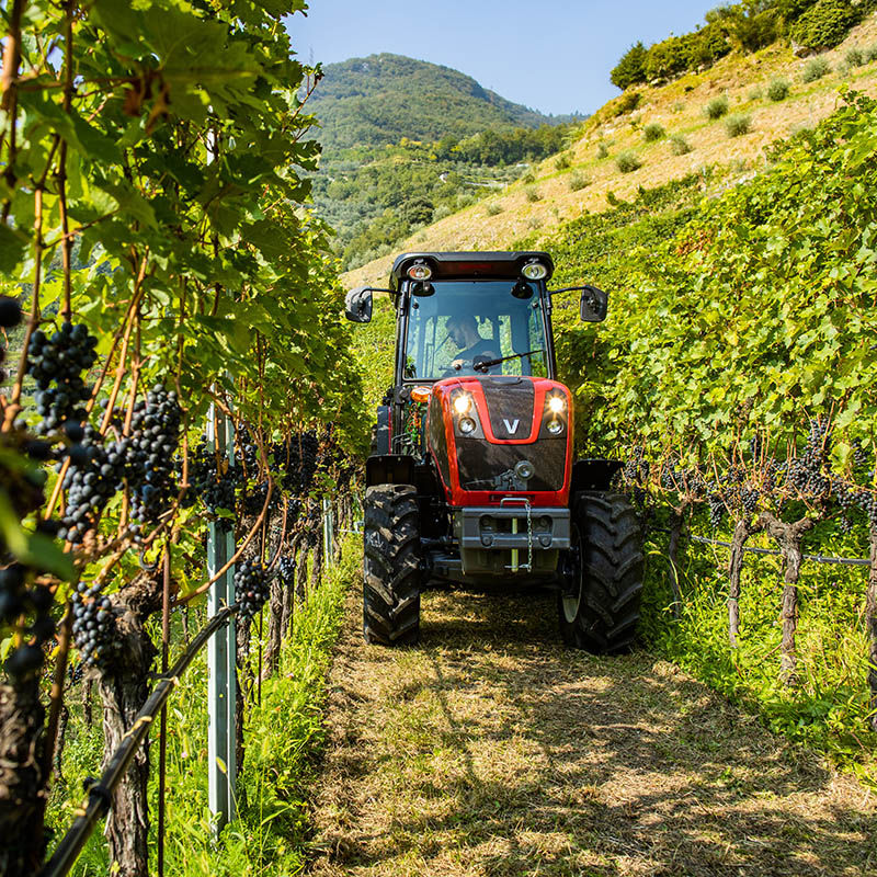 valtra-f-series-italy-vineyard-img-2019-hires-jpg-0429-800-800.jpg