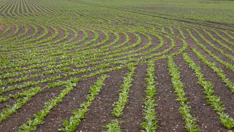 Valtra Section Control seeding