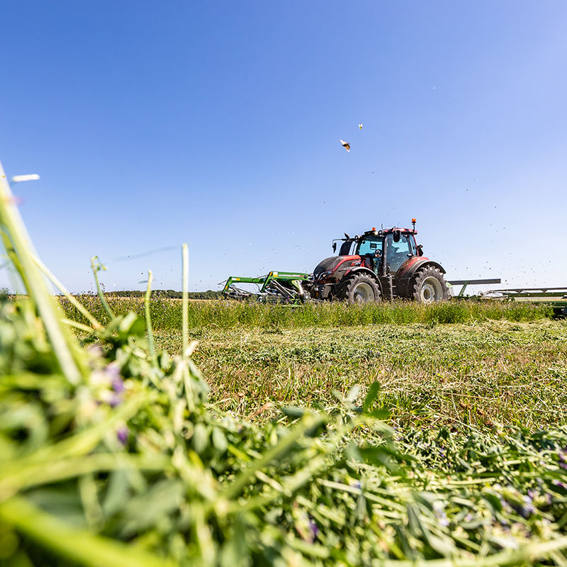valtra-t-series-denmark2018-highresjpg-4705.jpg