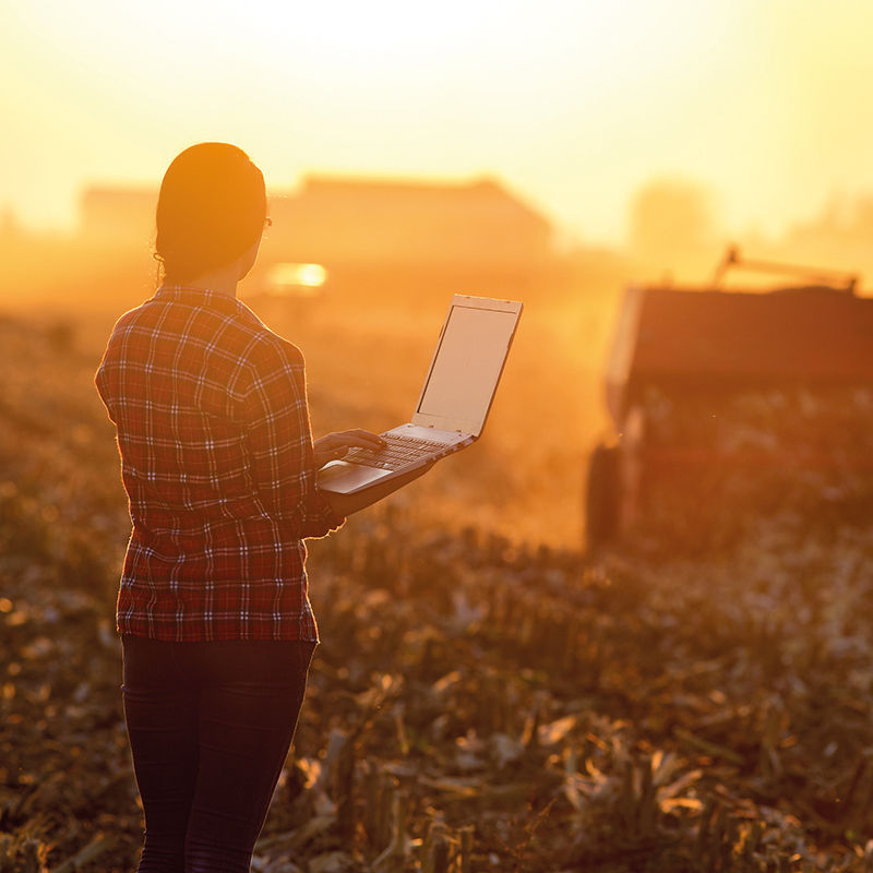 sunset valtra field woman