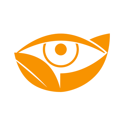Abstract representation of an Eye 