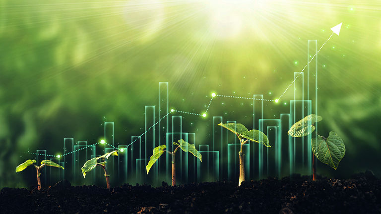 A blurry picture of a field with a line graph superimposed onto it