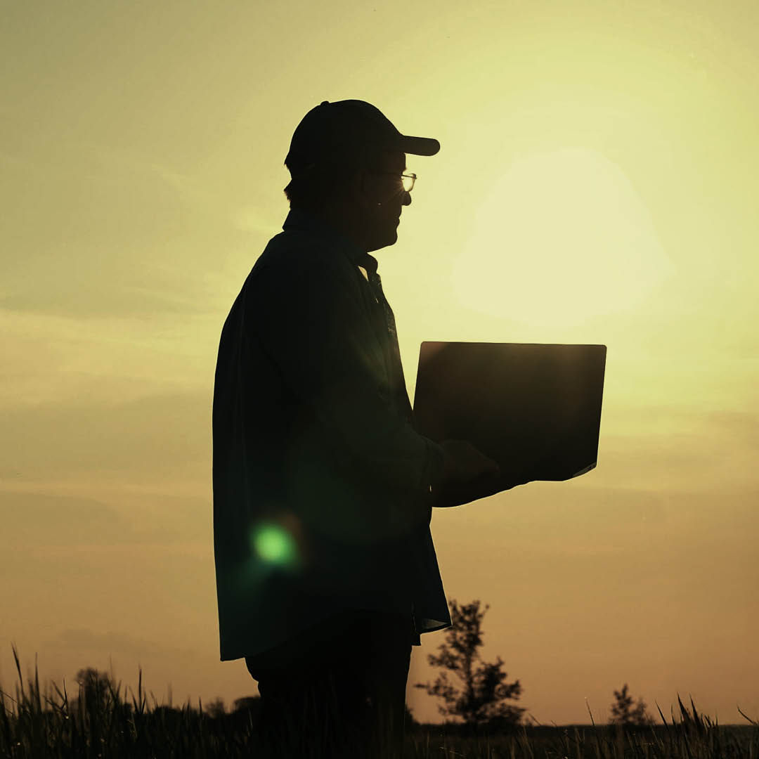 A silhouette of a man using a laptop in a field