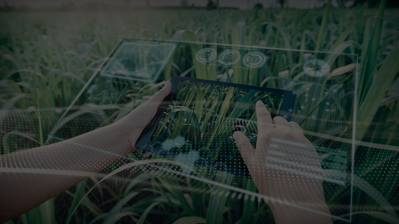 A dark image of two hands using a scren superimposed onto a field of crops