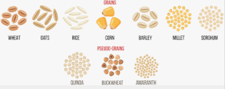 Grains.jpg