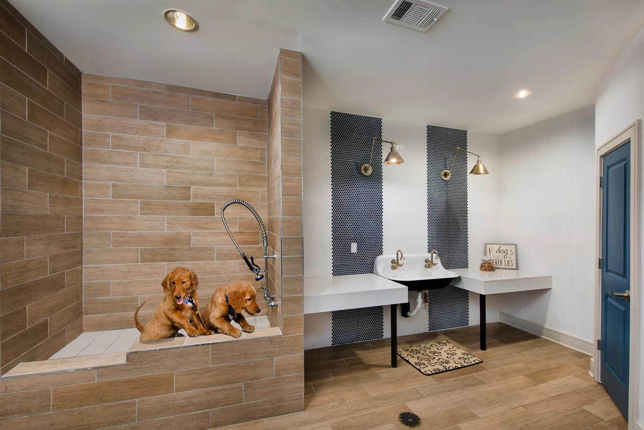 Sorrel & Lux at Sorrel in Jacksonville, FL - Dog Spa