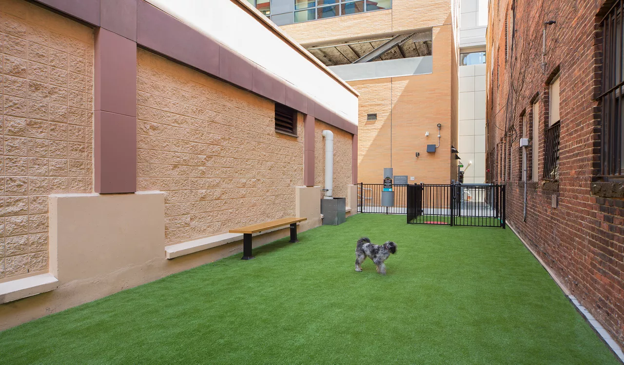 One Canal - Boston, MA - Dog Park