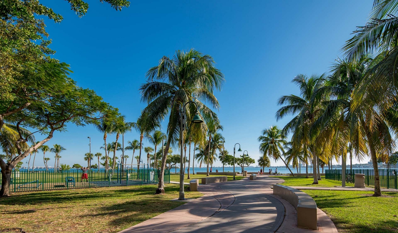 The Watermarc at Biscayne Bay - Miami, FL - Walking Path with Palm Trees