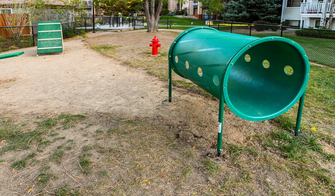 Verdant - Boulder, CO - Dog Park