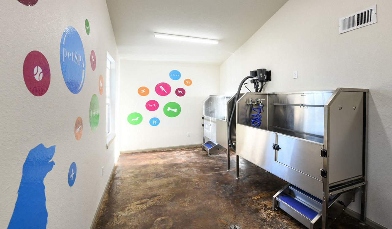 Arcadia - Centennial, CO - Pet Wash