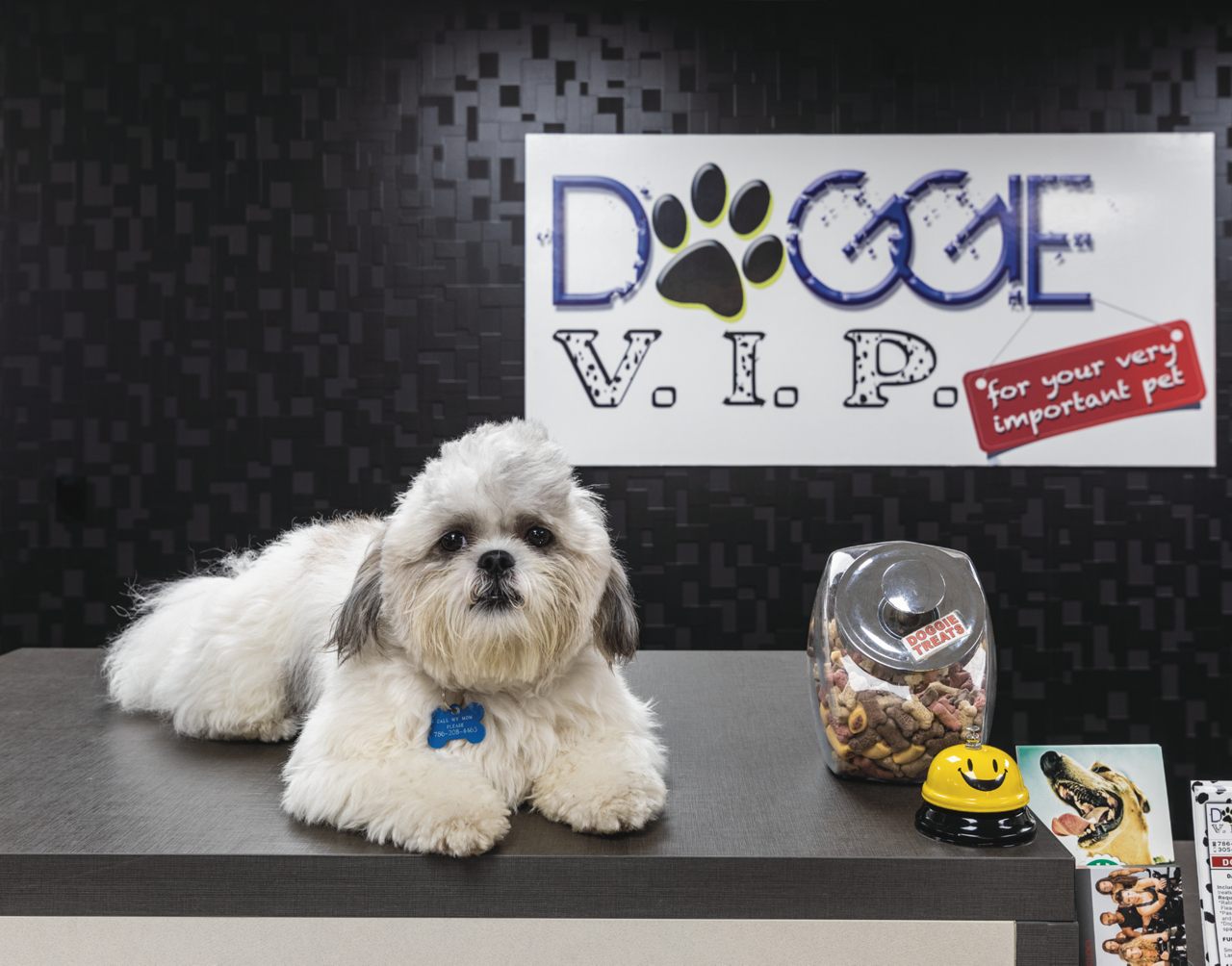 Bay Parc - Miami, FL - Doggie VIP