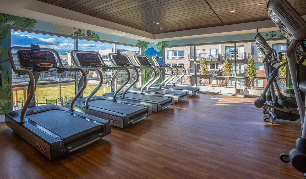 Parc Mosaic Fitness