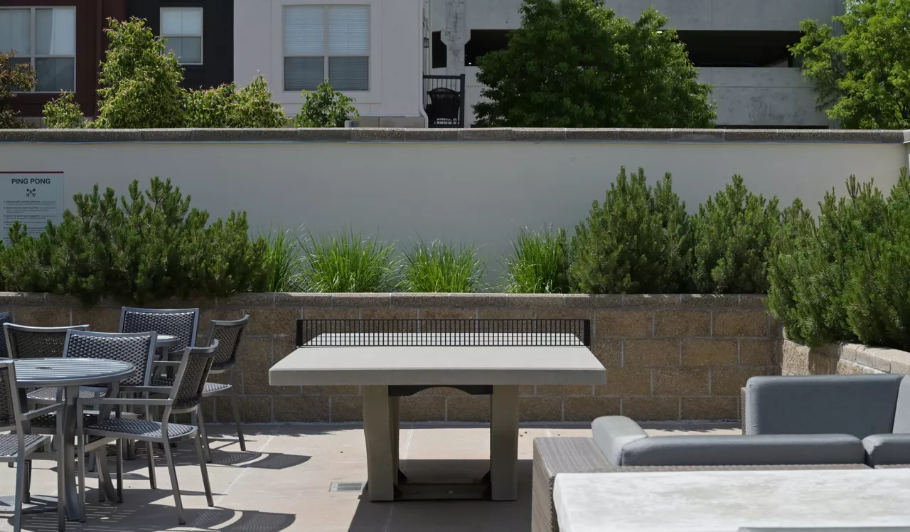 Outdoor Ping Pong