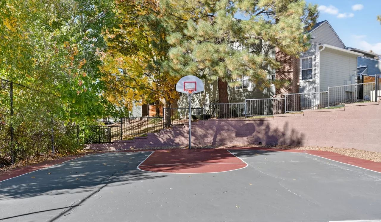 Arcadia - Centennial, CO - Basketball