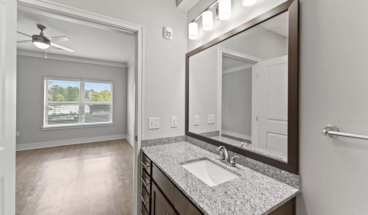 Brizo - Durham, NC - Bathroom