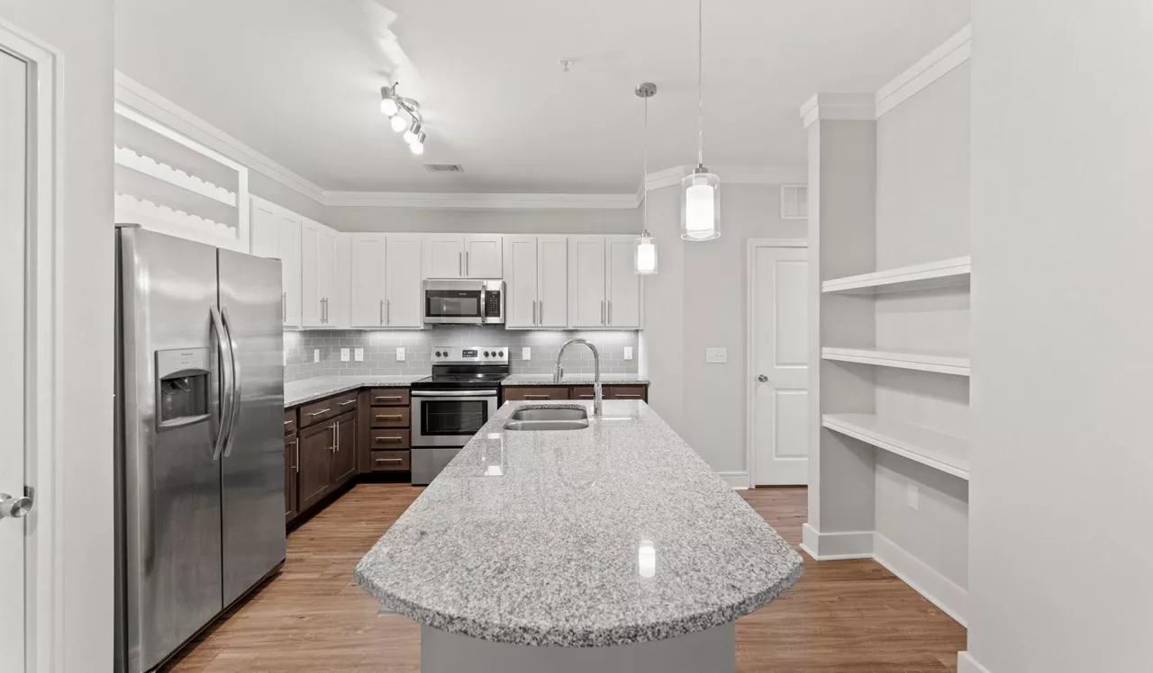 Brizo - Durham, NC - Kitchen