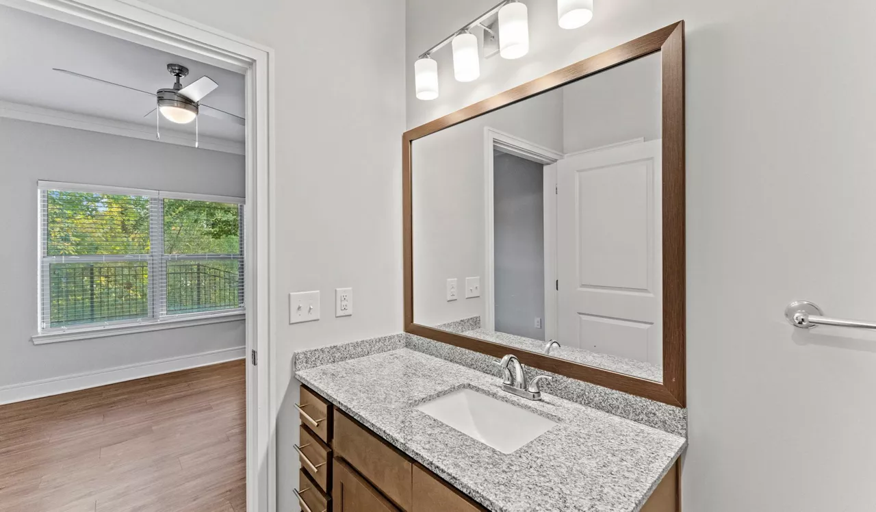 Brizo - Durham, NC - Bathroom