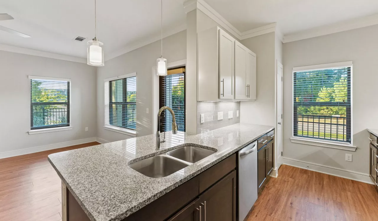 Brizo - Durham, NC - Kitchen