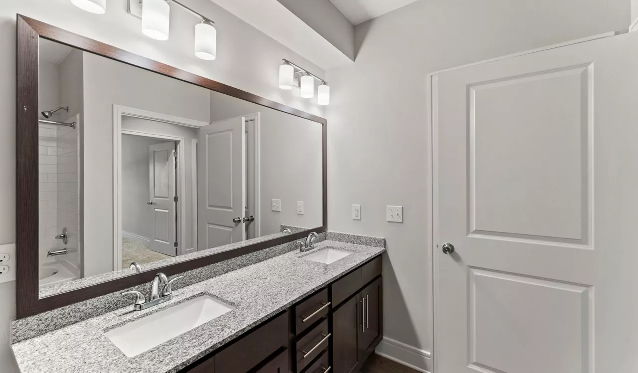 Brizo - Durham, NC - Bathroom